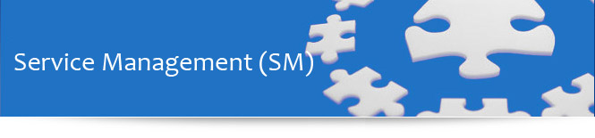 service-management